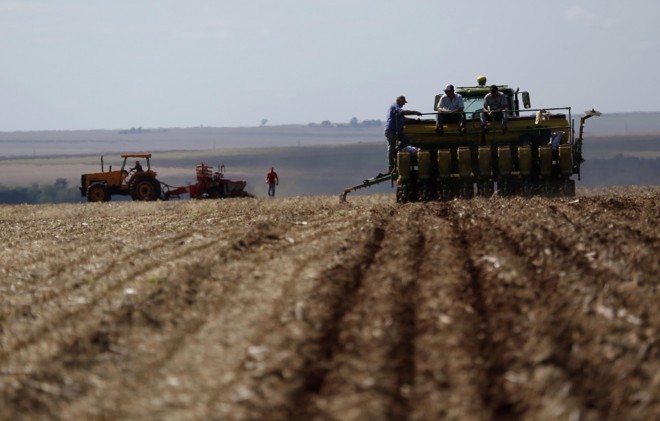 No Paraná, a colheita está em 80% de área, próxima à média das safras anteriores | 