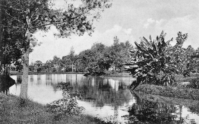 O Passeio Público era servido pelas aguas do Rio Belém, que foram substituídas em 1965 pelas de poços artesianos. A foto é de 1906 |