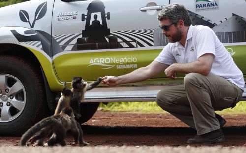 | Jonathan Campos / Gazeta Do Povo