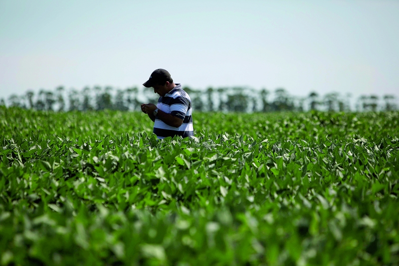 Produtor precisa reduzir custos para manter renda líquida, apontam as contas de 2015 | Jonathan Campos/gazeta Do Povo
