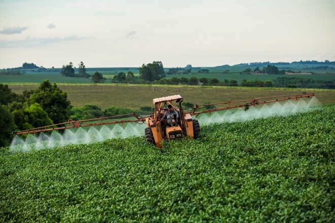Alto índice de ferrugem asiática no estado exigiu número maior de aplicações nas lavouras de soja. Foto Brunno Covello | 