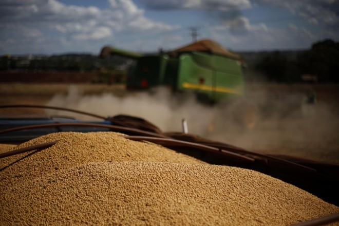 Cooperativas do Oeste contabilizam 12% de perda no rendimento das lavouras por conta da seca de janeiro. Foto: Jonathan Campos/Gazeta do Povo | 
