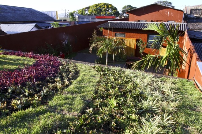 Telhado verde tem custo de instalação e manutenção 29% mais barato que o cerâmico | 