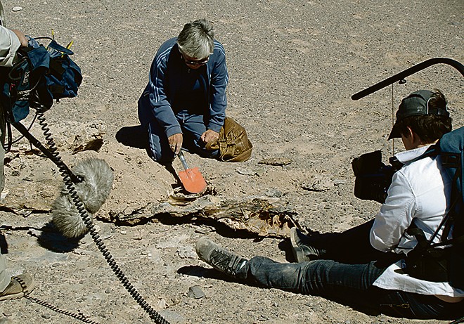 “Mulheres do Atacama” escavam o deserto em busca de parentes. | Divulgação