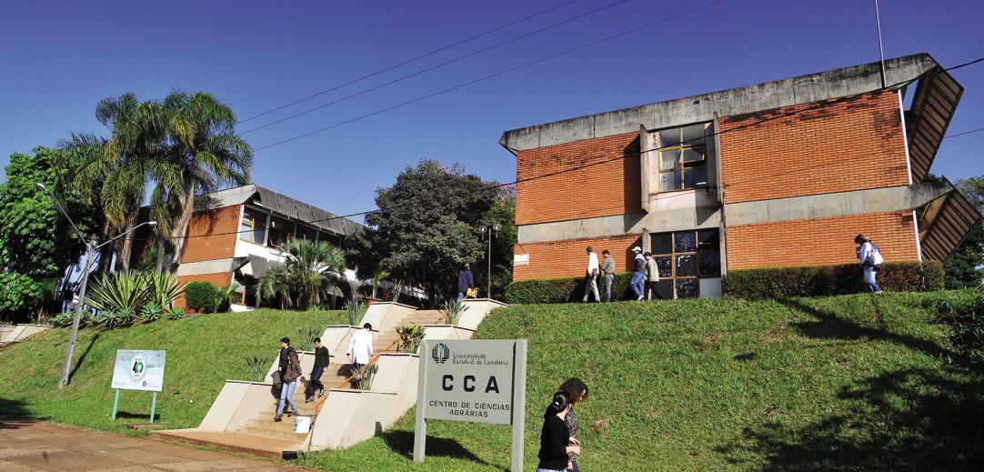 Docentes da Universidade Estadual de Londrina (UEL) preparam paralisação para a próxima semana | Divulgação/UEL