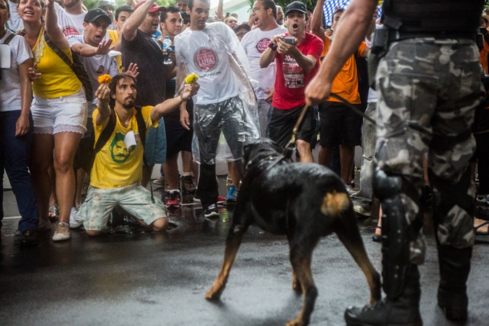 Manifestantes oferecem flores para policiais da tropa de choque: invasão e confronto impediram votação do "pacotaço" | Brunno Covello / Gazeta do Povo