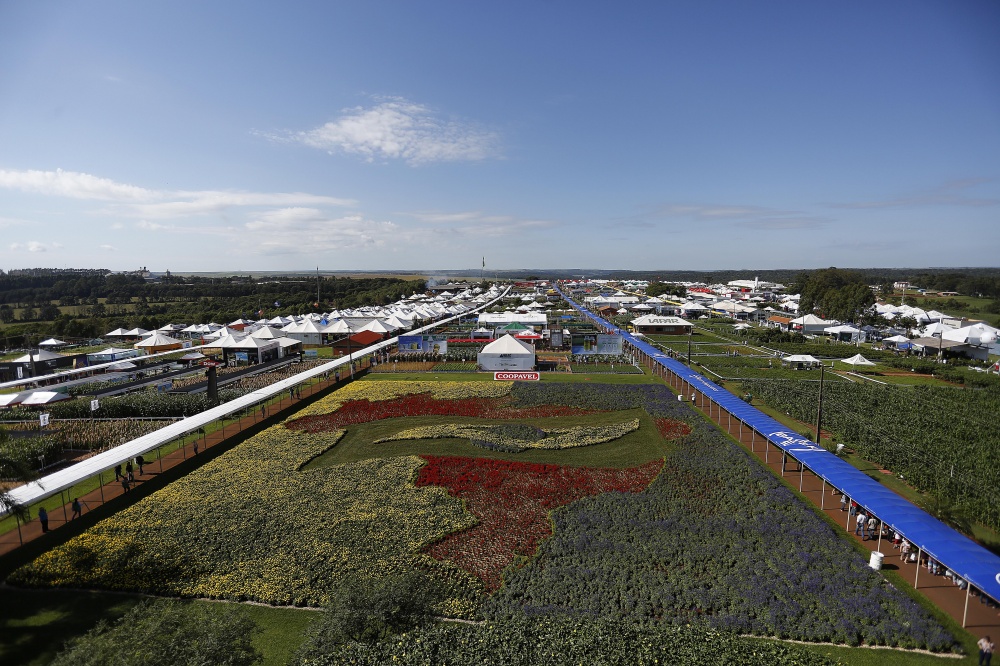  | Jonathan Campos/gazeta Do Povo