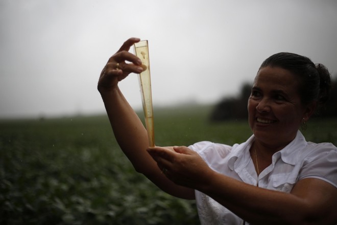 Produtora Gilvane Amano, de Cambé, sorri aliviada ao constatar a boa quantidade de água nas lavouras. Foto: Jonathan Campos/Gazeta do Povo | 