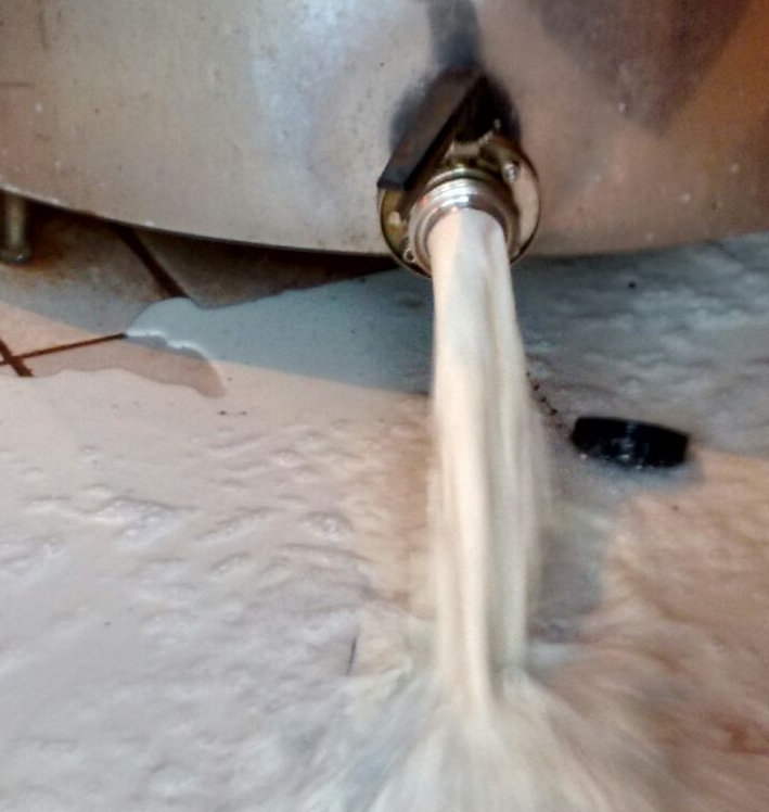 Produtores não podem esperar mais que 48 horas para recolhimento do leite. | Divulgaa§a£o / Thiago Flach