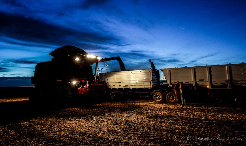 Máquinas ficam em operação até anoitecer para dar agilidade ao trabalho de campo. | Daniel Castellano / Gazeta Do Povo
