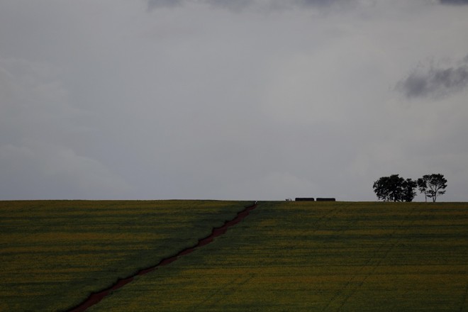 Ainda modesto, carretas carregadas com soja ganham as estradas do estado rumo ao Porto de Paranaguá. Foto: Jonathan Campos/Gazeta do Povo | 