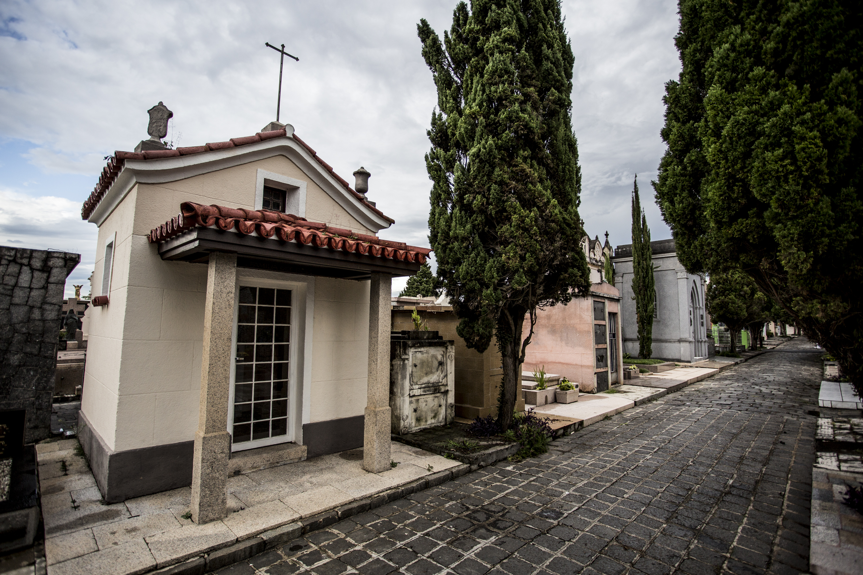 | Henry Milleo/Gazeta do Povo