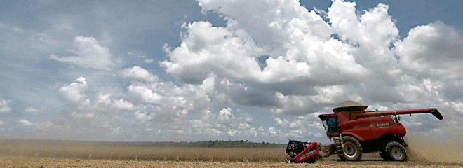 Colheita chega a um terço das lavouras do país nos próximos dias com avanço das máquinas em lavouras do Sul ao CentroOeste |
