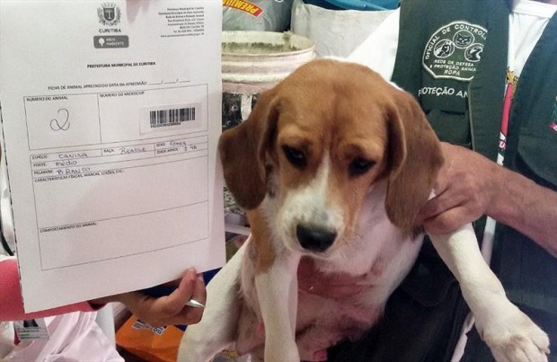 | Divulgação/Prefeitura de Curitiba