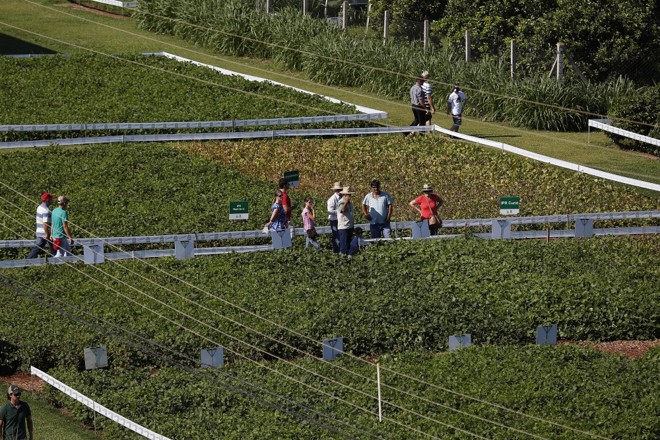 Produtores visitam um dos 480 estandes montados no parque de exposição do Show Rural Coopavel. | 