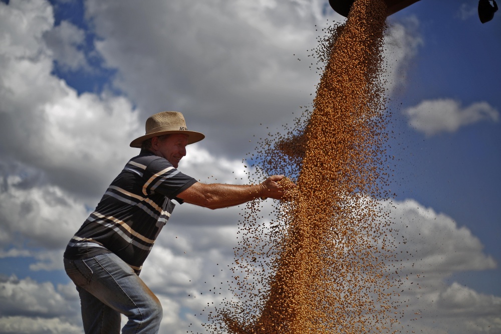 Eno Pedde, de Marechal Cândido Rondon, projeta terminar a colheita de soja no próximo dia 20. | Jonathan Campos