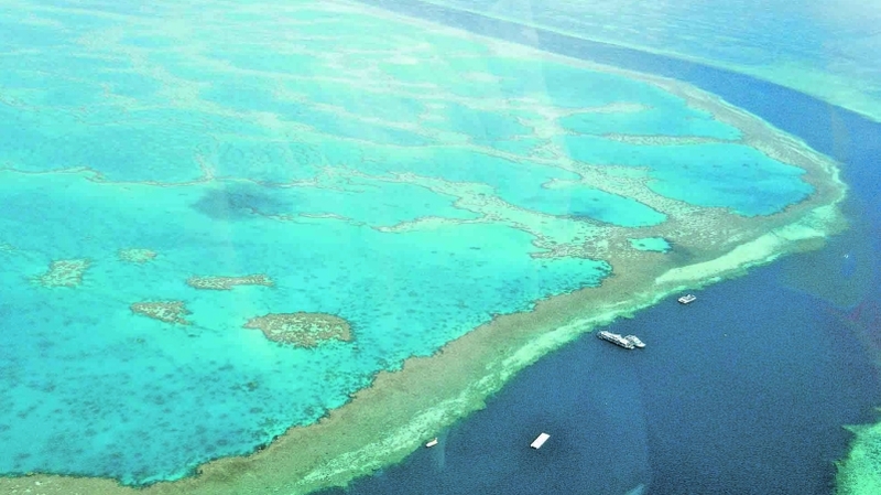 Grande Barreira de Corais pode diminuir devido ao aquecimento global | Sarah Ackerman/Creative Commons