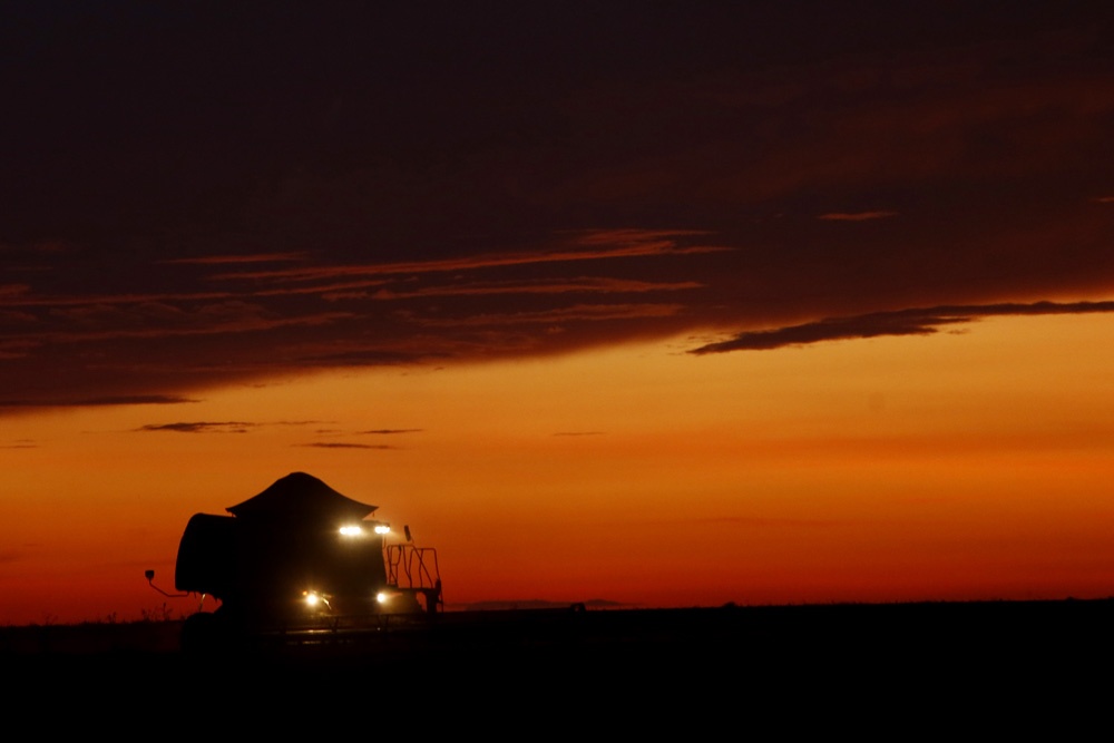 Máquinas trabalham até o anoitecer para que o solo seja liberado logo para o plantio de milho de inverno. |