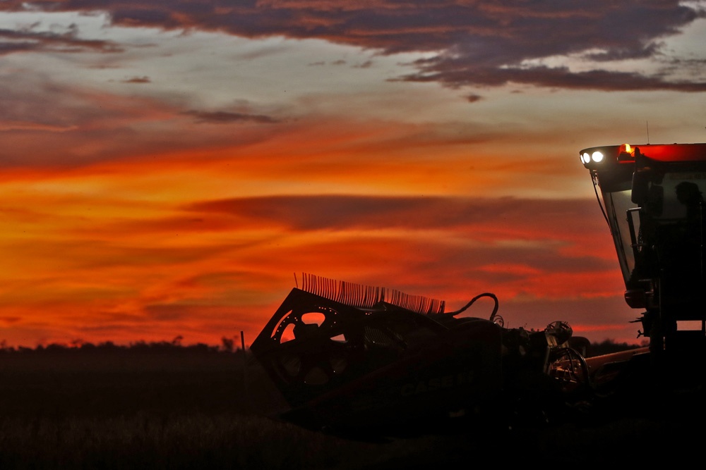 Colheita avança noite adentro em época de risco climático. | Foto: Albari Rosa/gazeta Do Povo