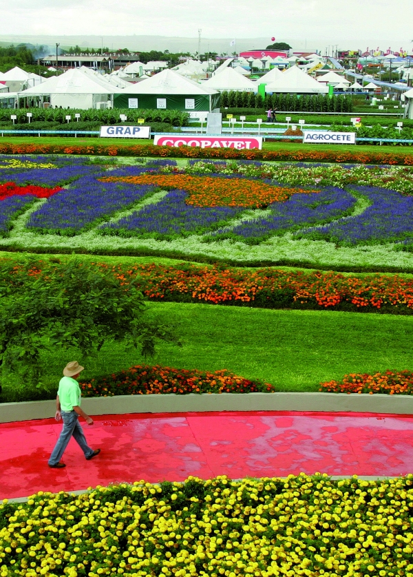 Visitante precisa de dois a três dias para conferir novidades da 27ª edição do evento | Fotos: Hugo Harada/ Gazeta Do Povo