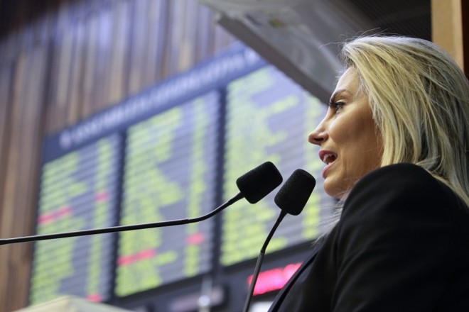 Sem Richa, Cida discursou |