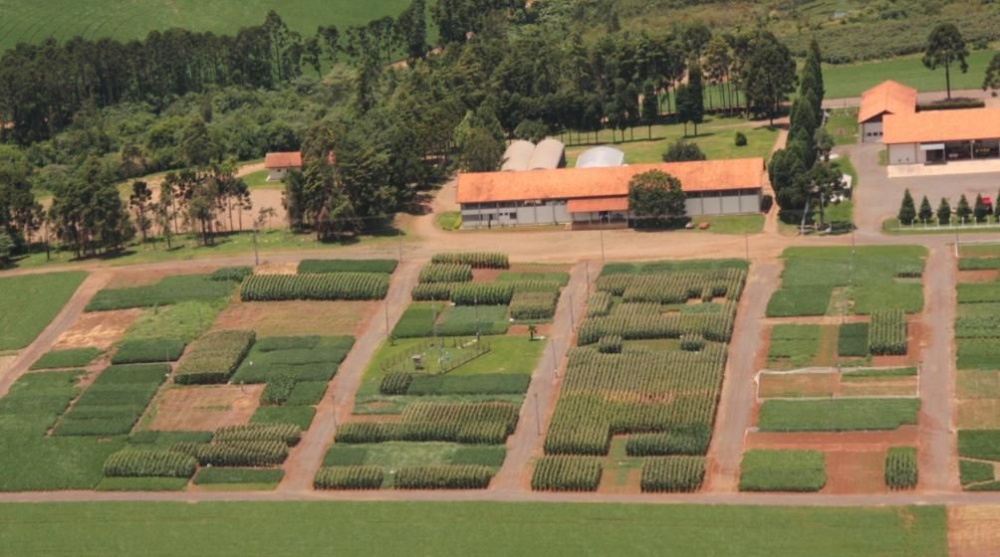 Estações experimentais vão mostrar resultados de pesquisas da cooperativa. | Divulgaa§a£o/cooperativa Agra¡ria