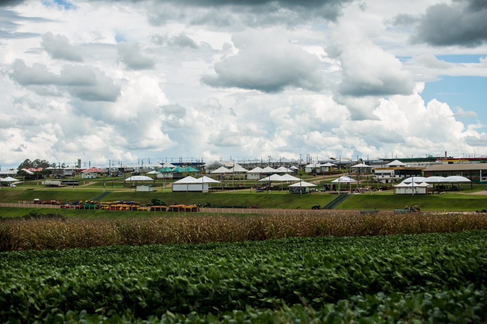 Faltando poucos dias para feira, parque de exposição da Expodireto ainda está vazio. Foto Brunno Covello | Brunno Covello