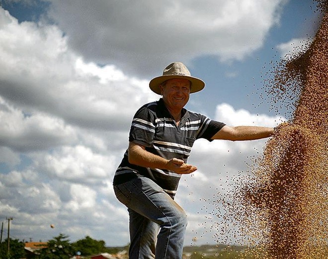 Em ano de perdas, Eno Pedde registrou mais de 70 sc/ha de soja |