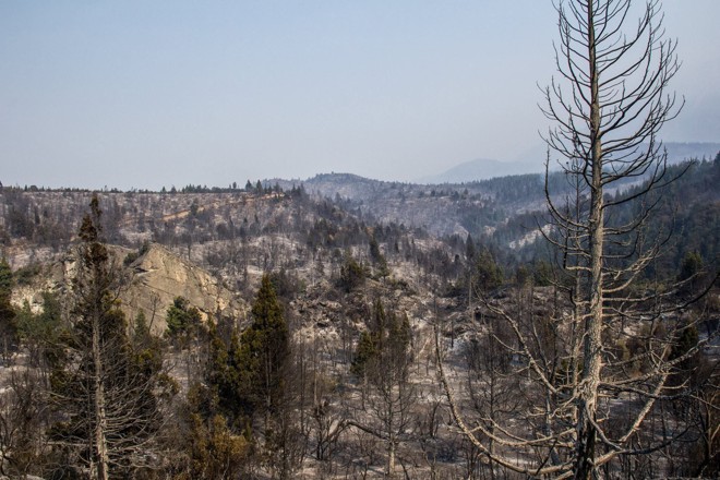 Área devastada por incêndio na província de Chubut | Pablo Wegrzyn/Efe