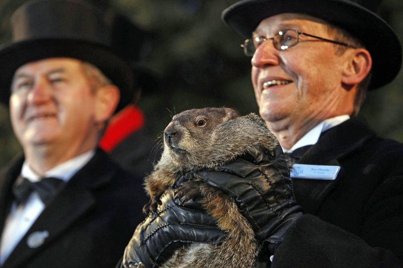 Punxsutawney Phil, a marmota mais famosa dos Estados Unidos | David Maxwell/Efe