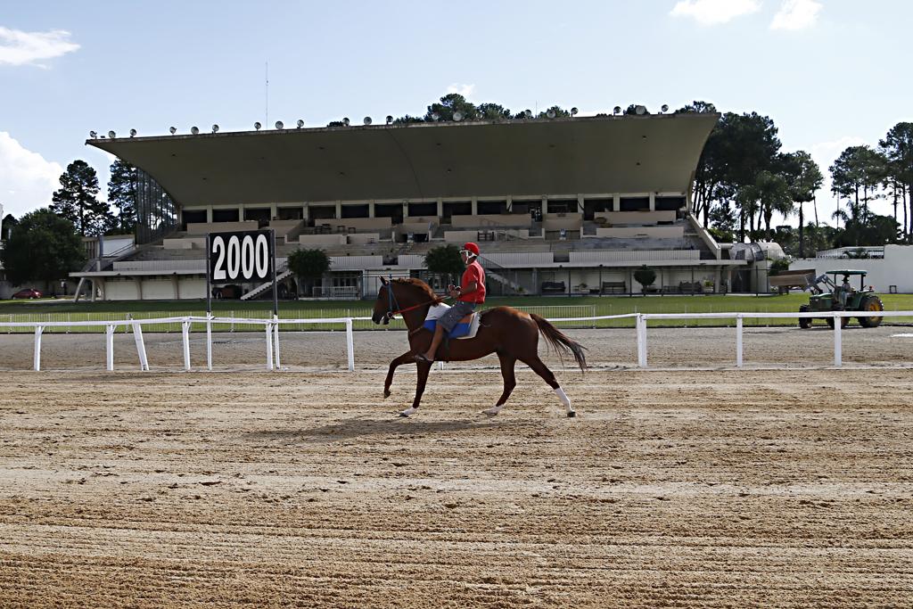 Jockey Club não recebe competições há oito meses. | Albari Rosa/Gazeta do Povo