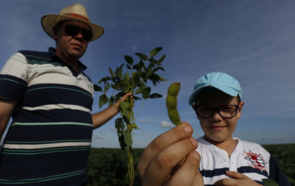 Sávio Schroder monitora a lavoura de soja junto com o filho Bruno, em Nova Santa Rosa, distrito de Uruçuí. | Jonathan Campos / Gazeta Do Povo