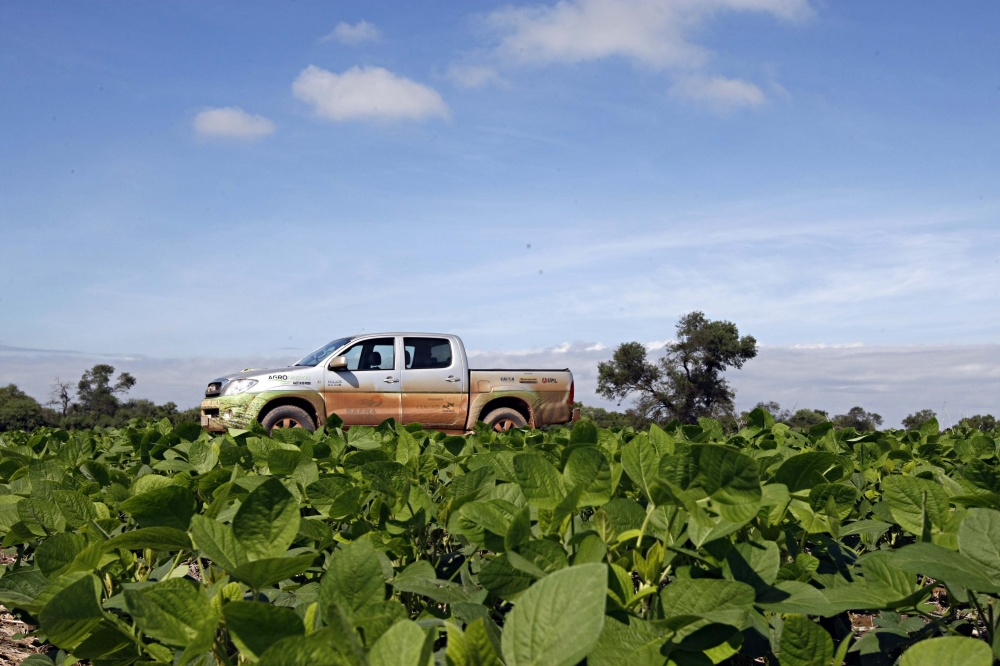 Esta é a sexta safra em que a sondagem percorre o país, quarto maior exportador de soja do mundo. | Foto: Christian Rizzi/gazeta Do Povo
