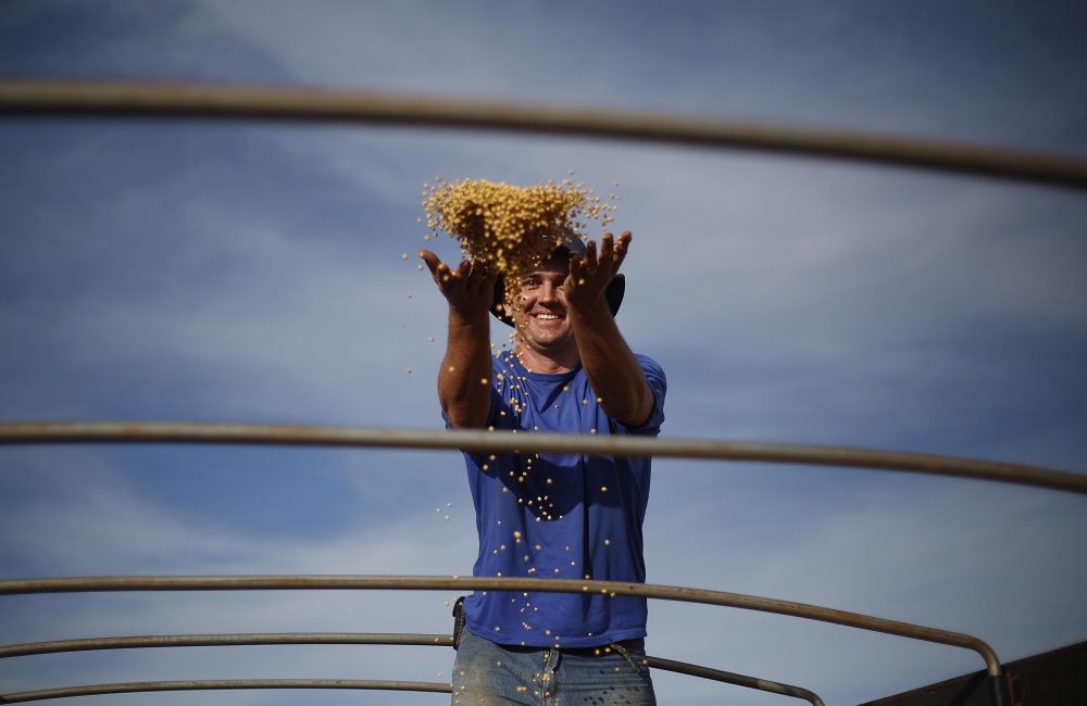 Produtor Jean Herpich deve colher mais soja do que em 2013/14, mas atraso no calendário frustou cultivo da safrinha de milho. | Jonathan Campos / Gazeta Do Povo