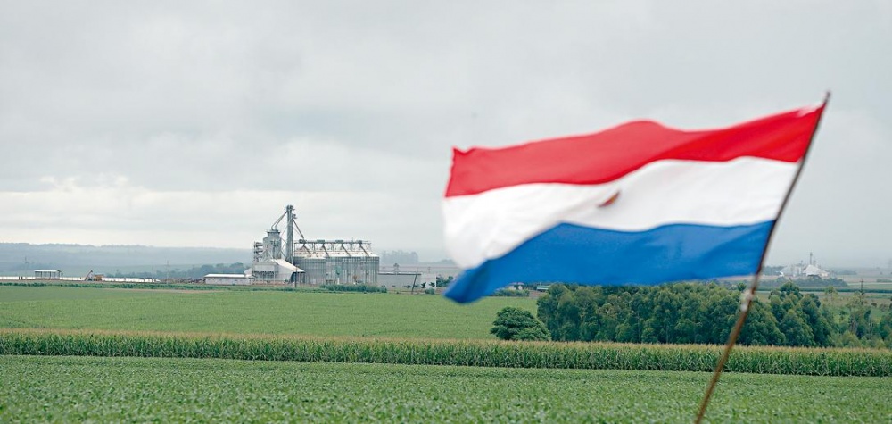 Veranicos que frustraram produção de verão incentivaram novo incremento do plantio da segunda safra de soja. Agora, Paranguai depende da safrinha para superar marca dos 9 milhões de toneladas. | Albari Rosa