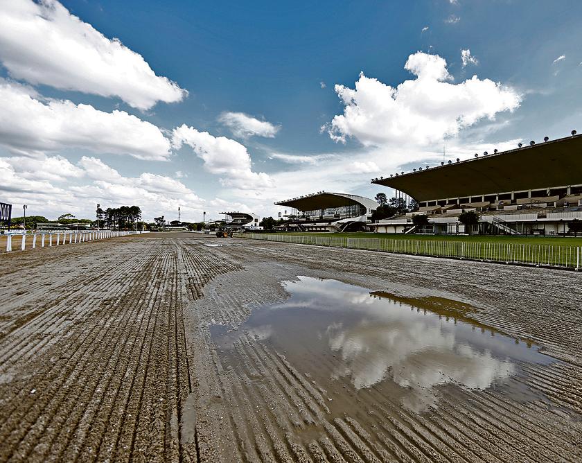 Jockey Club do Paraná não recebe provas há oito meses por falta de documento do Ministério de Agricultura, Pecuária e Abastecimento. | Albari Rosa/Gazeta do Povo