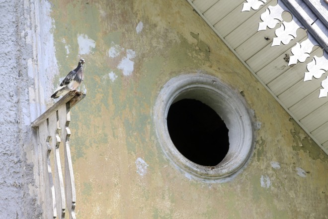 | André Rodrigues/Gazeta do Povo