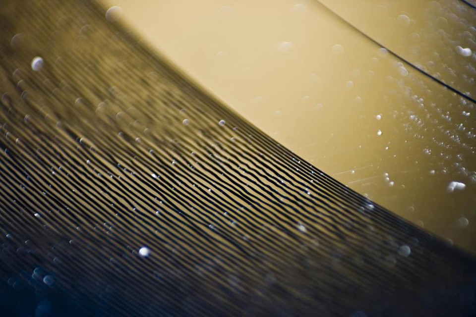 Imagem ampliada mostra as trilhas de um disco de vinil e os pontos esbranquiçados são de poeira. | Shane Gavin/Creative Commons