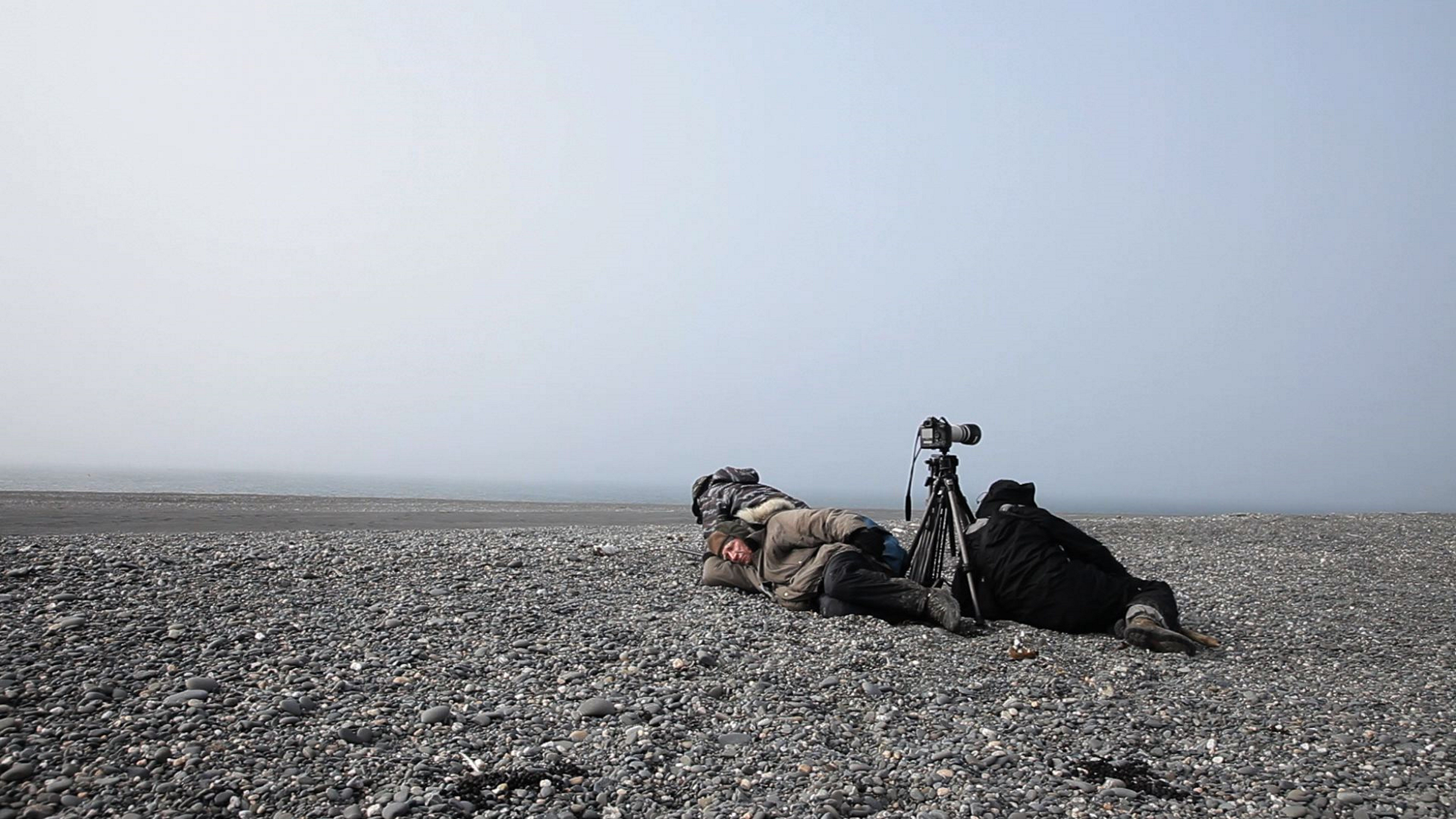 Como fotógrafo, a espera (que pode durar horas e dias seguidos) parece ser o principal mérito de Sebastião Salgado. | Divulgação