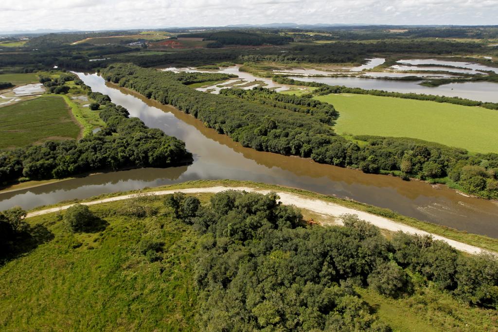 Sobrevoo mostra a mistura dos tipos de vegetação, com áreas de várzea, campo e florestais e o encontro dos rios Iguaçu e Barigui. | Antônio More/Gazeta do Povo