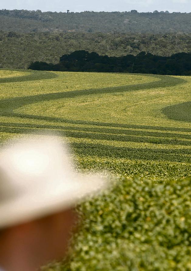 Oficialmente, prazo para inscrição dos imóveis no CAR vai só até 5 de maio. | Albari Rosa