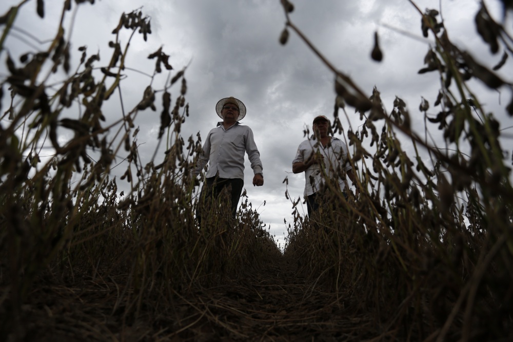 Aristeu Pellenz e seu vizinho Pedro Schwengber demonstram preocupação com aumento nos custos de produção. | Jonathan Campos / Gazeta Do Povo