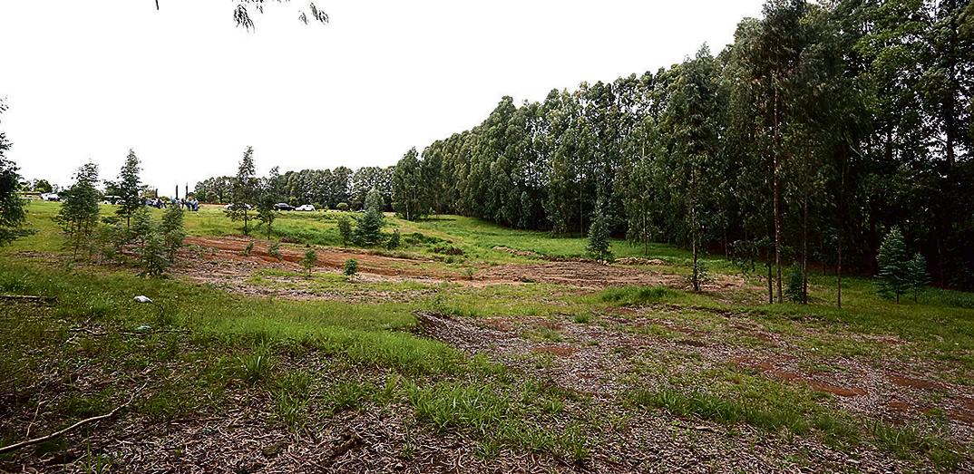 O terreno de 44,5 mil metros quadrados foi doado à prefeitura em troca de obras feitas na região. | Jaelson Lucas/SMCS