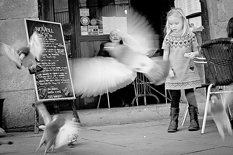 | Divulgação/Portfolio/Nilo Bizazetto Neto