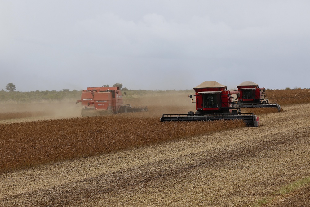 Colheita começa a ganhar ritmo na região de Balsas (MA). | Jonathan Campos / Gazeta Do Povo