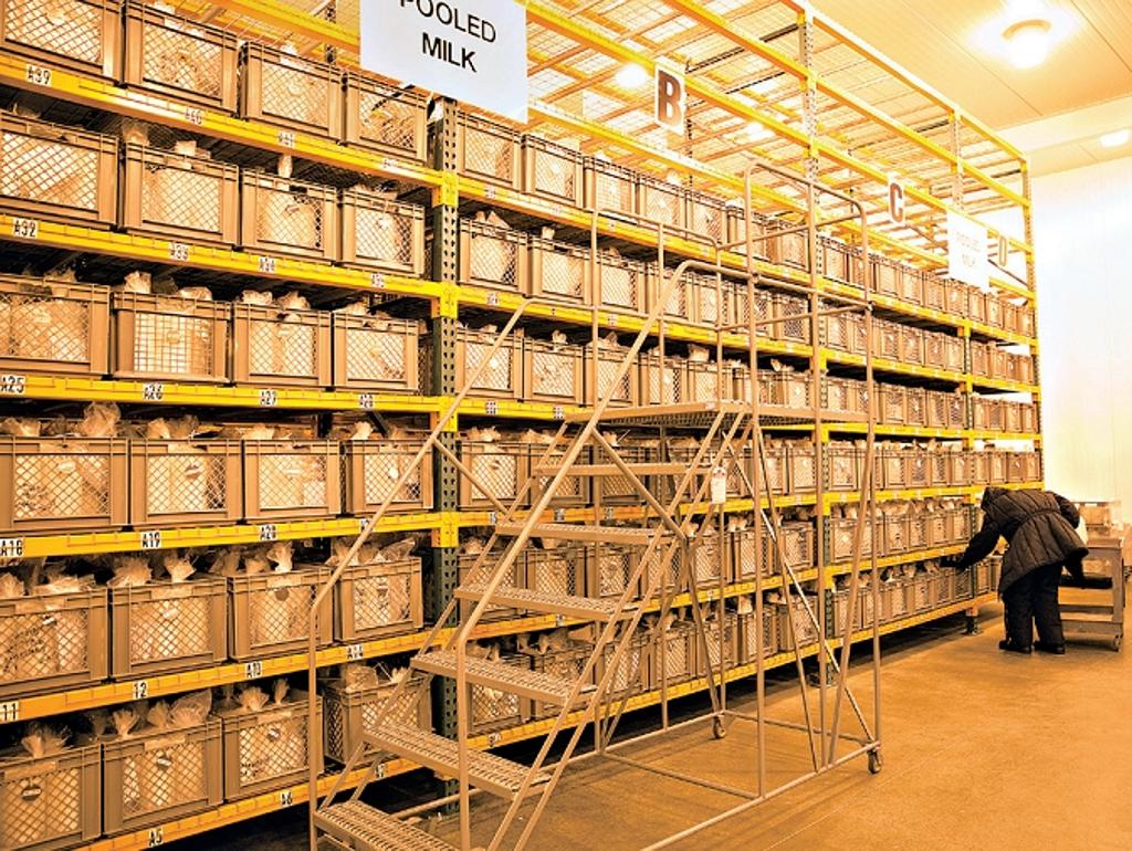 Algumas empresas estão comprando e vendendo leite materno para ajudar bebês prematuros, enquanto outras trabalham para encontrar novos usos terapêuticos para o produto. Leite congelado na Califórnia | Monica Almeida/The New York Times