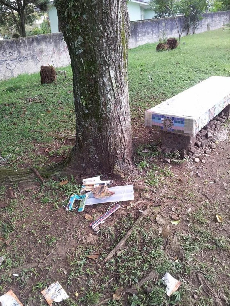 Minibiblioteca é encontrada destruída em praça de Curitiba Página do movimento responsável pela ação divulgou o ato nesta sexta-feira (3). | Reprodução/Facebook