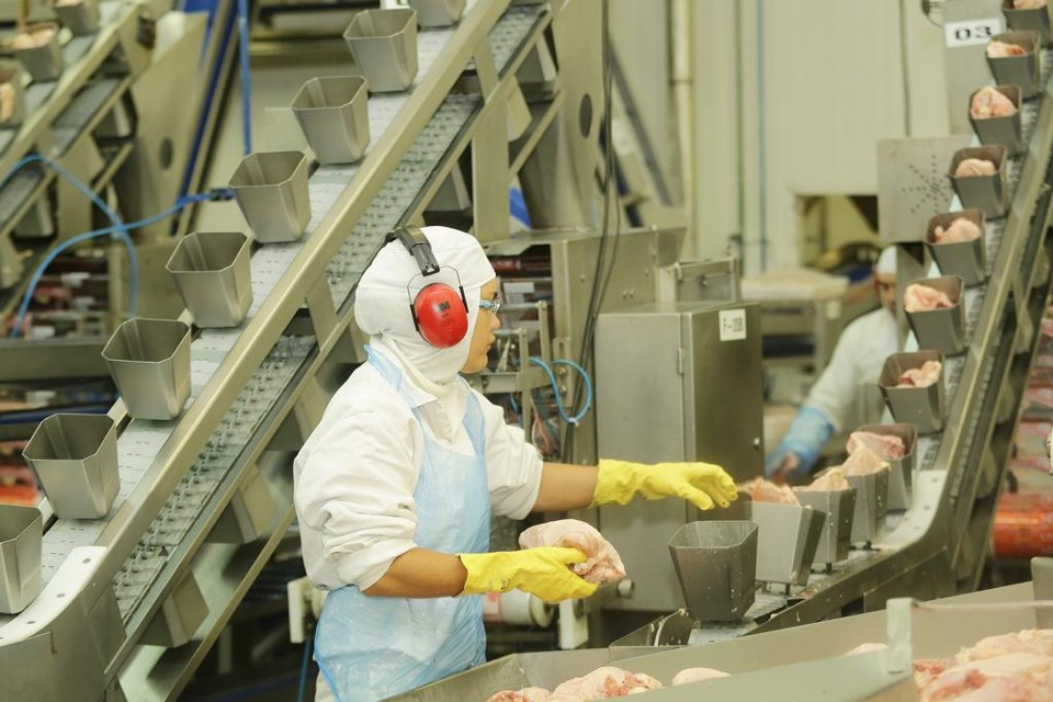 Receita obtida com exportações de carne de frango cresceu 4% no Paraná entre janeiro e março. | Giuliano Gomes/Arquivo/Gazeta do Povo