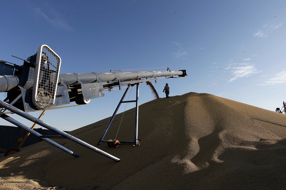 Potencial da safra se aproxima de 60 milhões de toneladas, conforme estimativas privadas e públicas. | Fotos: Jonathan Campos/gazeta Do Povo