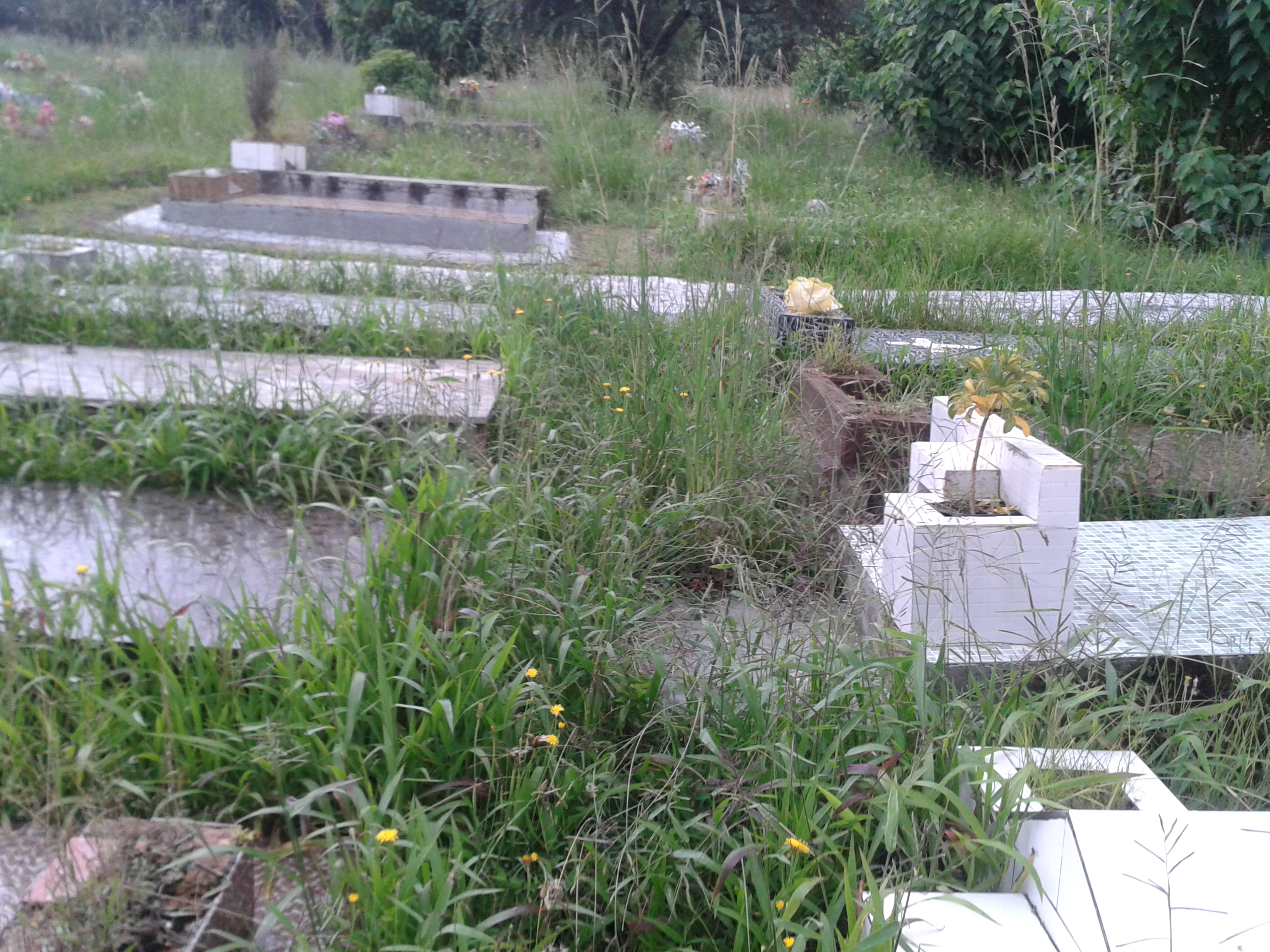 | Helio Azevedo de Castro/Arquivo Pessoal